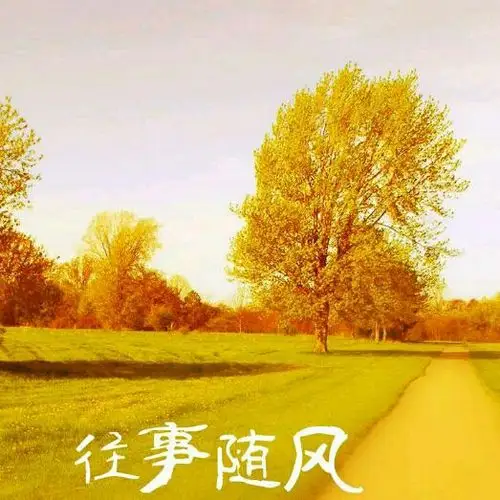 让过往随风而去