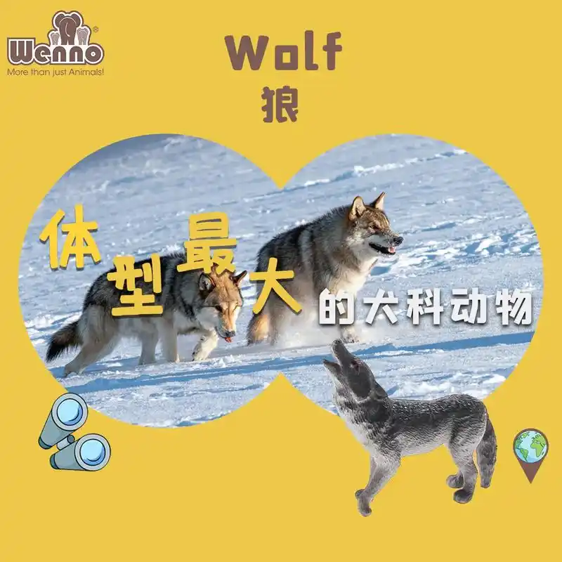 92狼是全世界犬科动物中体形最大的物 - 抖音