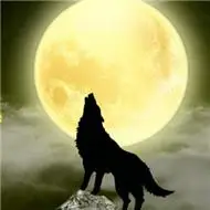 狼头图片霸气图好看霸气的狼头精选