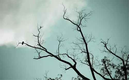 精选非主流治愈系唯美怀旧风景高清图片桌面壁纸下载