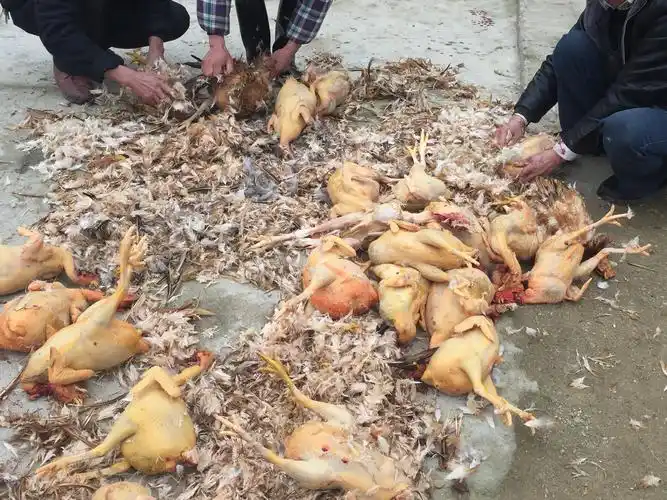 精准扶贫帮扶记.