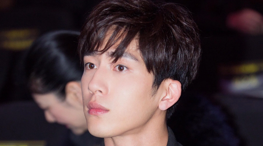 拥有最帅瓜子脸的6位男星,鹿晗,黄景瑜上榜,许魏洲竟输给了他