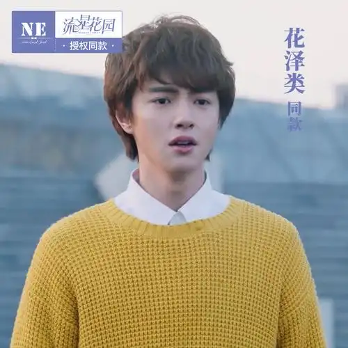 特价明星同款毛衣男_新版流星花园剧中明星同款 官鸿饰花泽类 秋新品