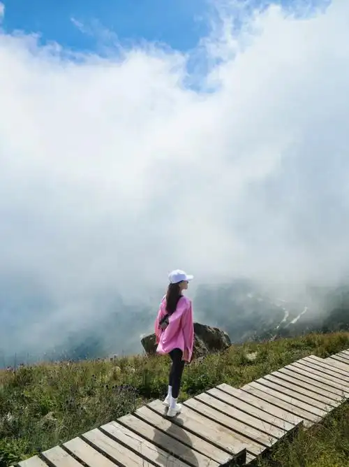 周末寻秋之旅来到了白草畔作为北京西南最高山峰也是百花山的主峰来之