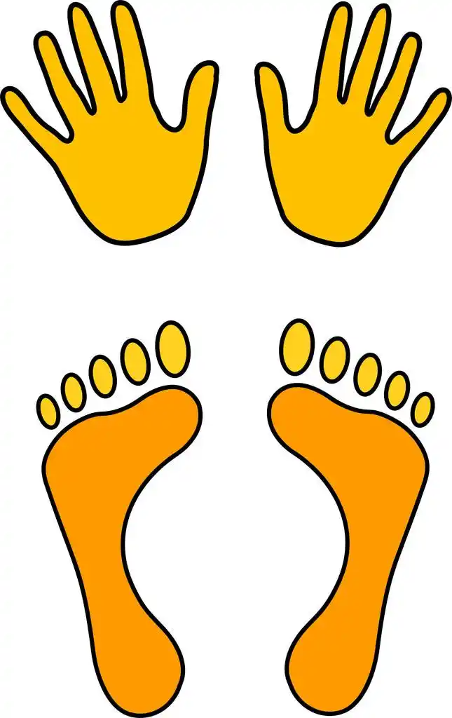 手和脚,手和脚符号矢量图