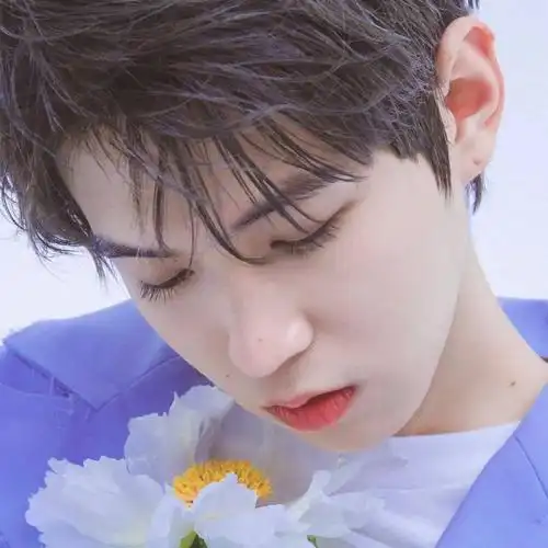 微信头像李希侃