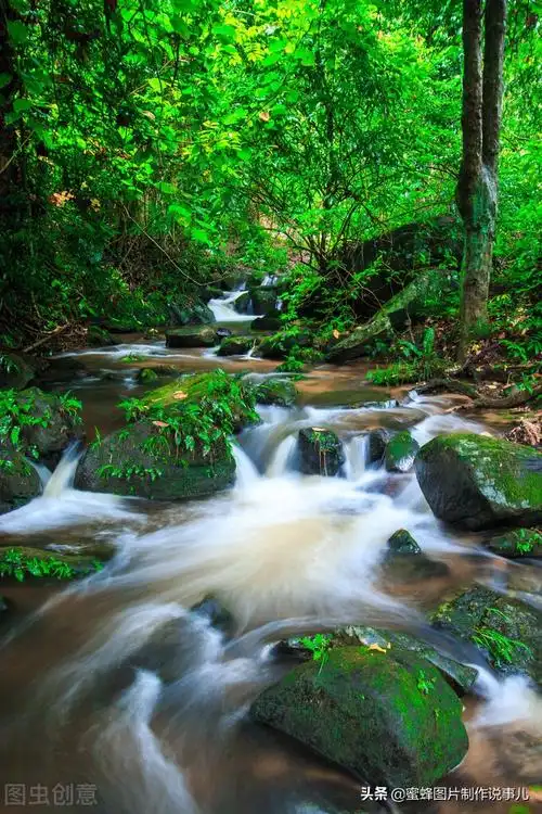 形容风景优美的句子(享受大自然的美景句子) _飞翔号