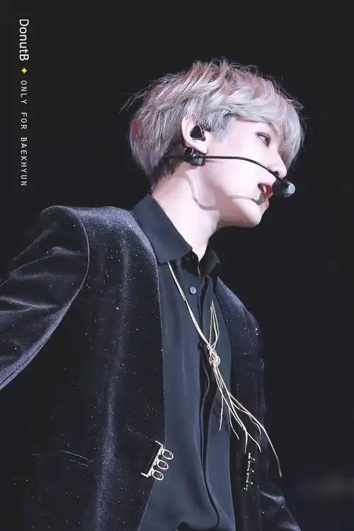 边伯贤那些应当用「美」来形容的图片