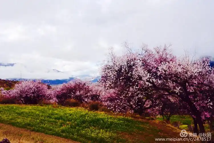 扛着桃花去看你 风景篇