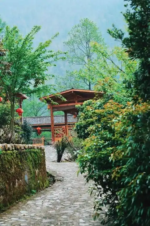 走进明月山下的世外桃源探寻南惹古村的奥秘