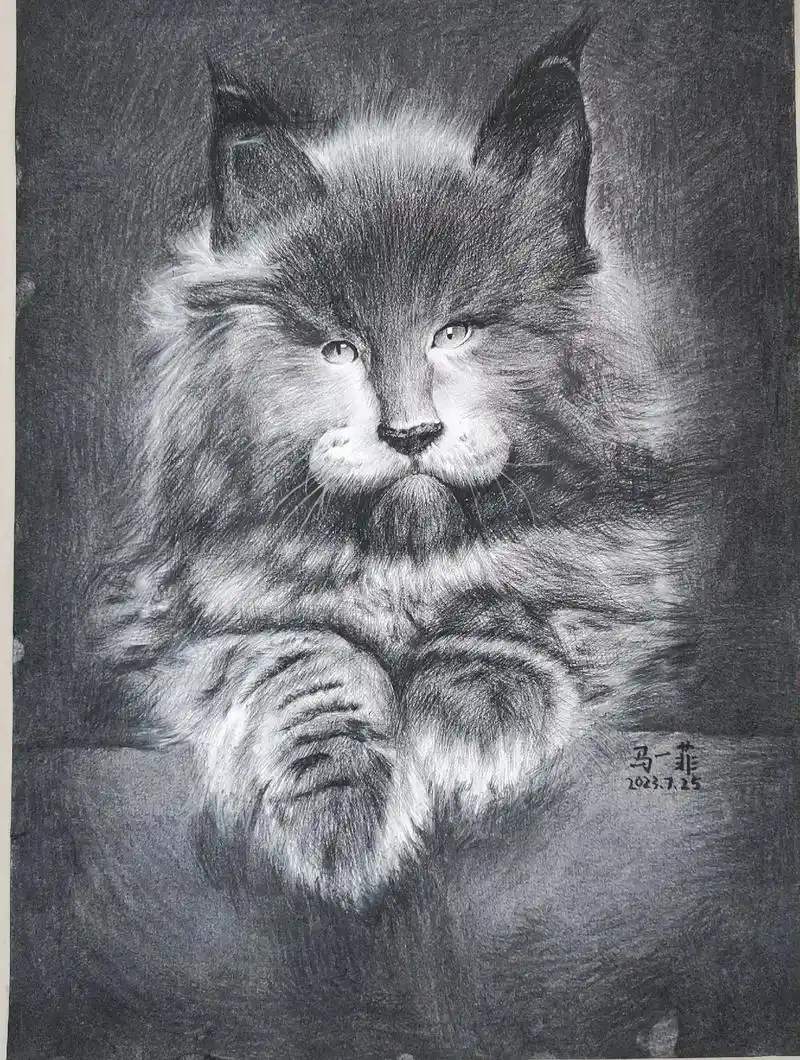 初一孩子画的三幅小动物素描棒棒哒 - 抖音