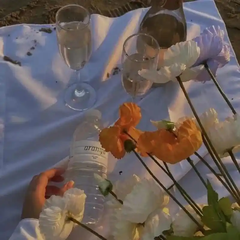 背景 | 超好看的文艺ins背景图