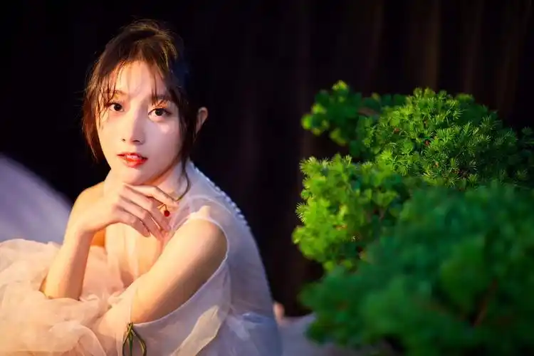 朱丽岚(朱丽岚沉香如屑)