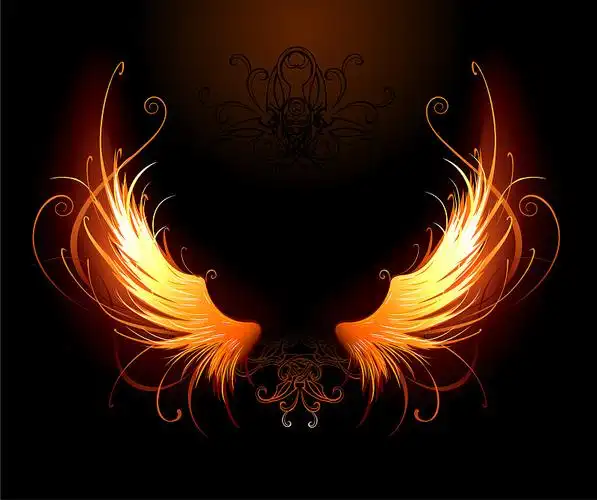 的翅膀图片下载