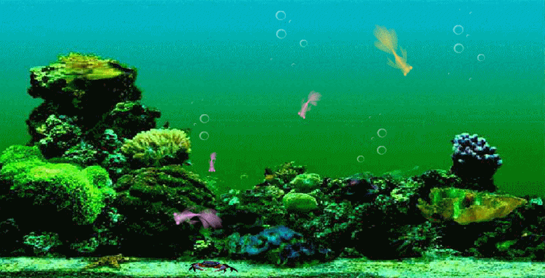 778_397gif 动态图 动图