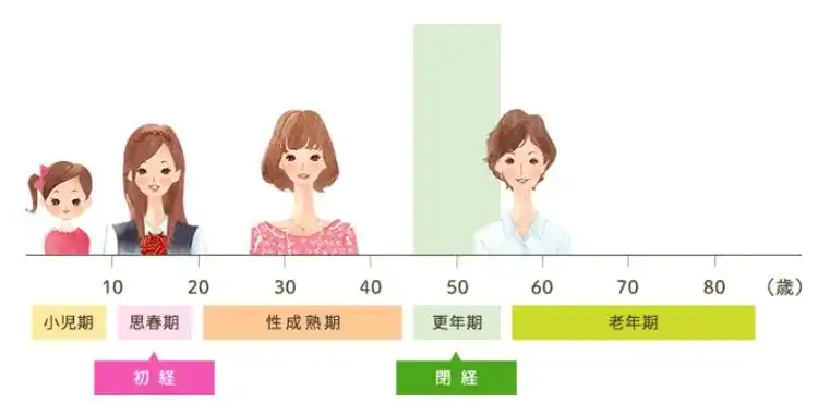 一文读懂女性的一生与更年期的变化