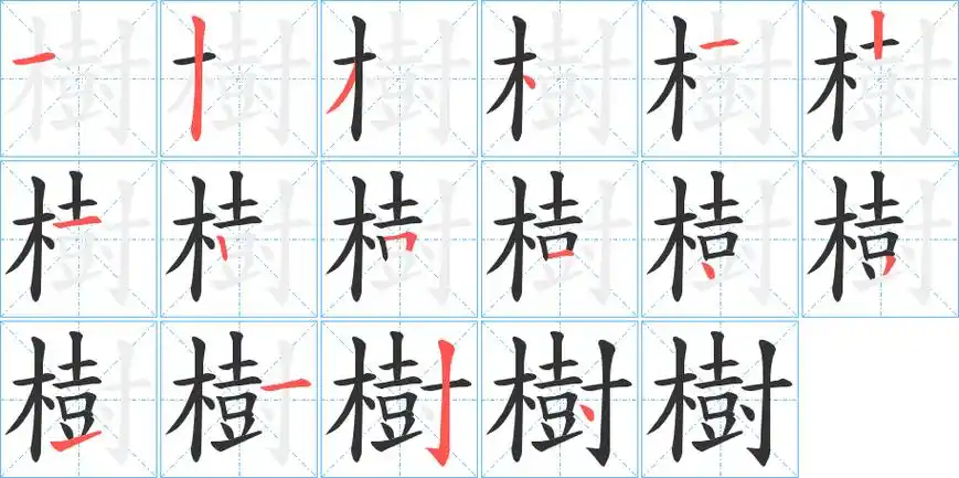 树字笔画笔顺树字怎么写