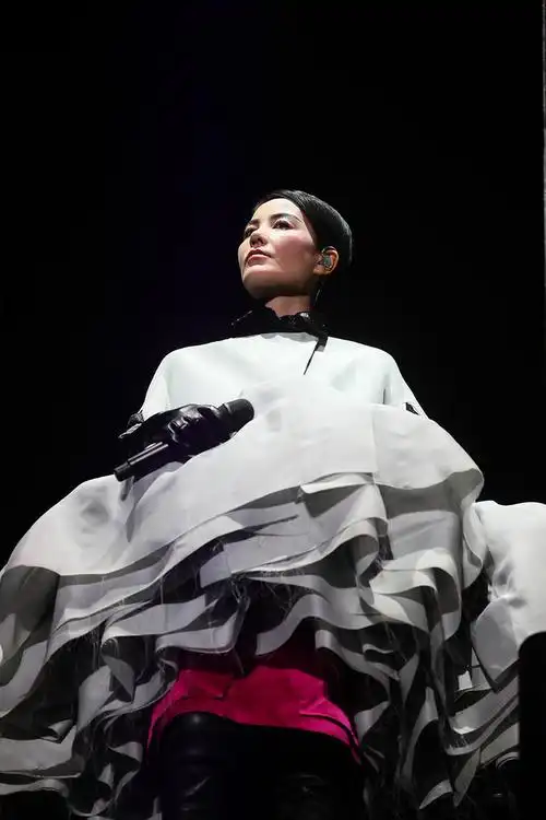 王菲百变舞台造型回顾