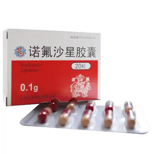 其他 诺氟沙星胶囊0.1g*20s 0.1g*20s1107