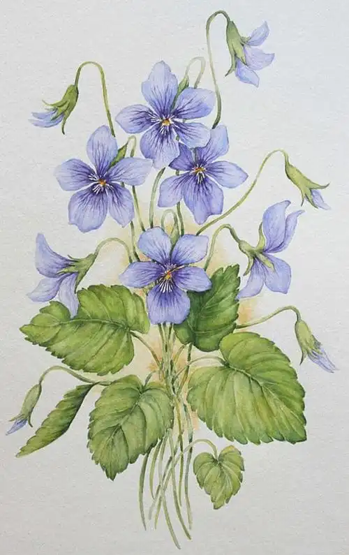 俄罗斯水彩花卉画