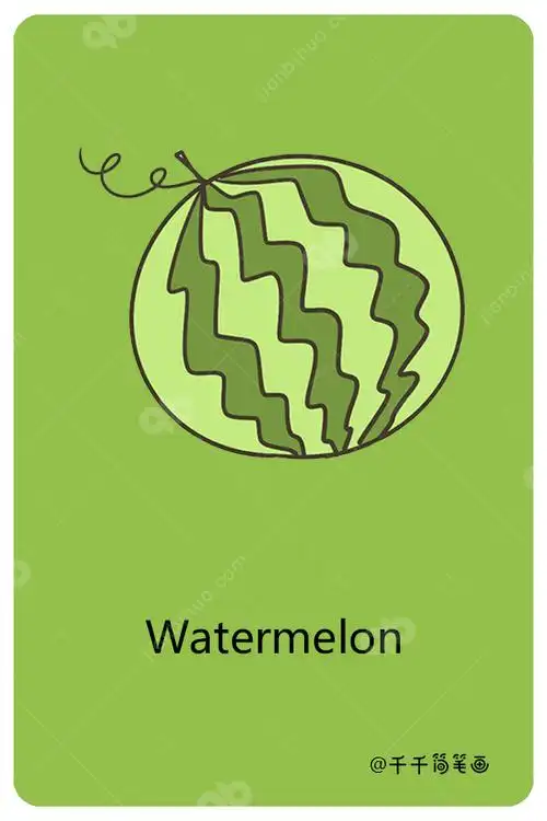儿童英语词汇认知西瓜watermelon
