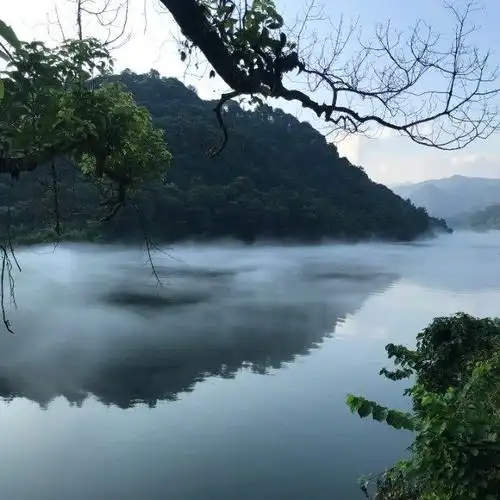 沉默是金明月夜