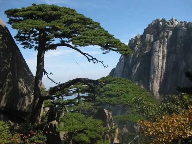 世界十大名山,世界十大名山排名榜(中国十大名山 你登过几个)