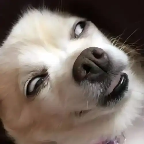 沙雕文案##搞怪头像##表情包##搞怪文案##朋友圈文案