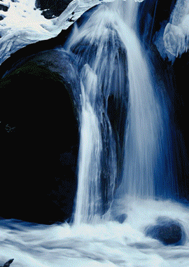 270_381竖版 竖屏gif 动态图 动图