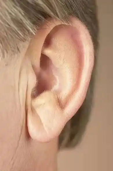 耳朵有褶皱预示什么病(心脏病耳垂皱褶图片)-九九号