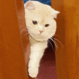 沙雕表情包20211120