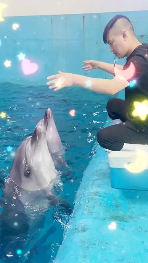 记录生活#小海豚为大家高歌一曲