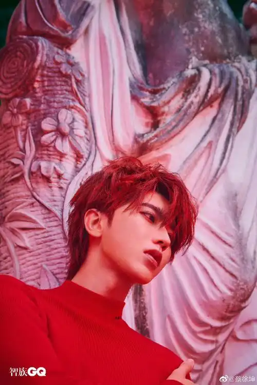 蔡徐坤红发大片