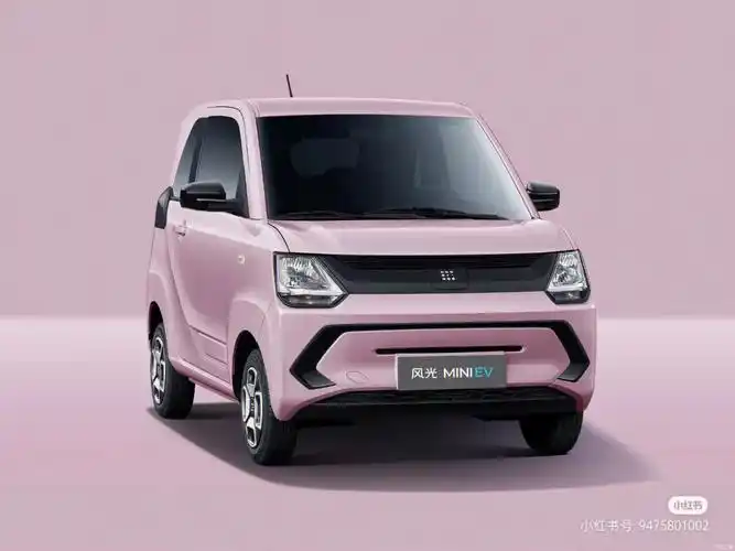 大神们预算3万的新能源汽车有介绍么