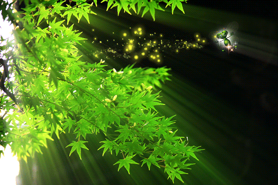 梦幻生灵唯美gif动图