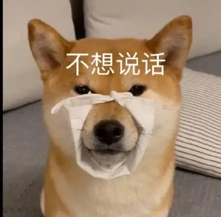 狗狗表情包  不想说话_说话_不想_狗狗表情