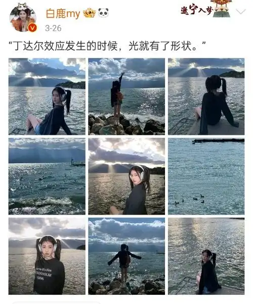 白鹿##白鹿曾舜晞 两条蛄蛹者