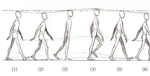 我们老师让我们按照这个图像 描下走路动作 然后插入空白帧什么的?