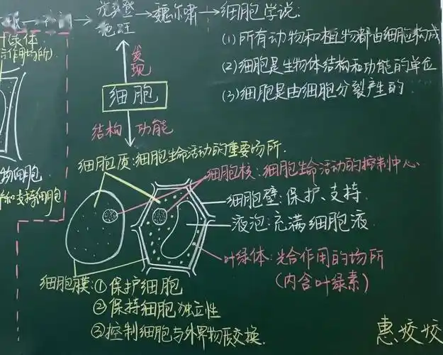 对16位青年教师的板书进行了认真严肃的评比高度的赞扬,这次板书设计