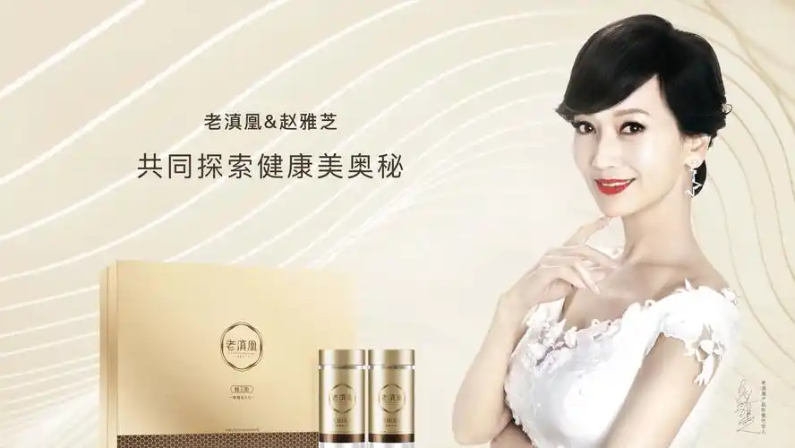 论坛年会, 海南风情美食园指定 用品及优秀供应商 2017年 赵雅芝代言