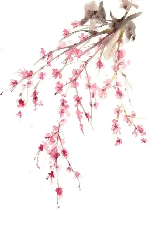 花草水墨封面淡雅唯美插画古风