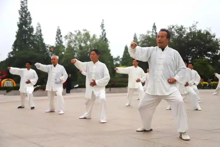 全国老年人太极拳健身推广展示大联动活动(兰陵分会场)隆重举行