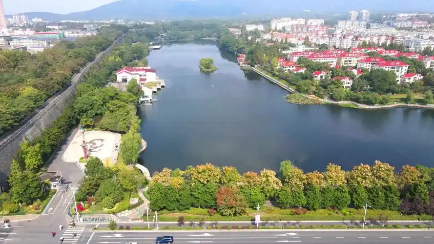 南京月牙湖上的天鹅守护人