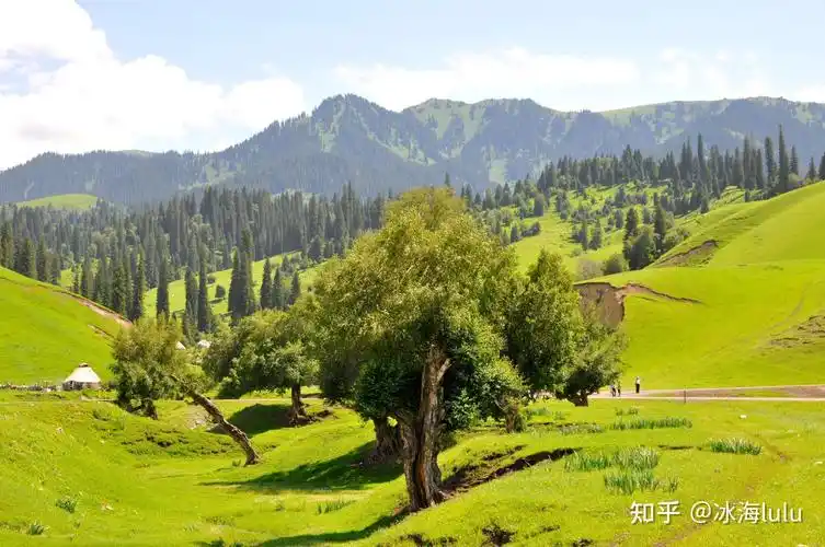 瑞士山地齐名的那拉提草原