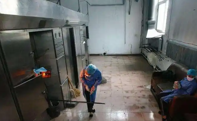 2005年美女死刑犯毕丽梅被枪决为何到火葬场又死而复生