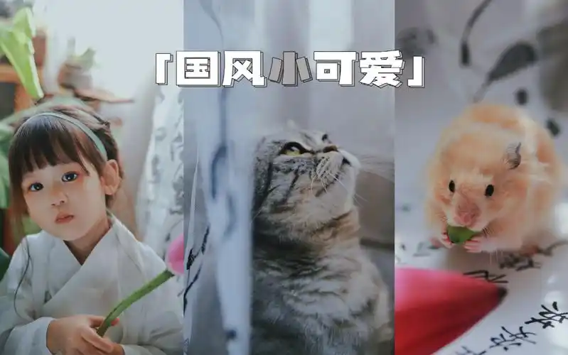 给三小只拍一组国风写真吧