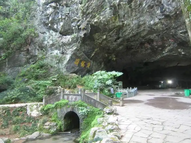 erp in wholesale and distribution