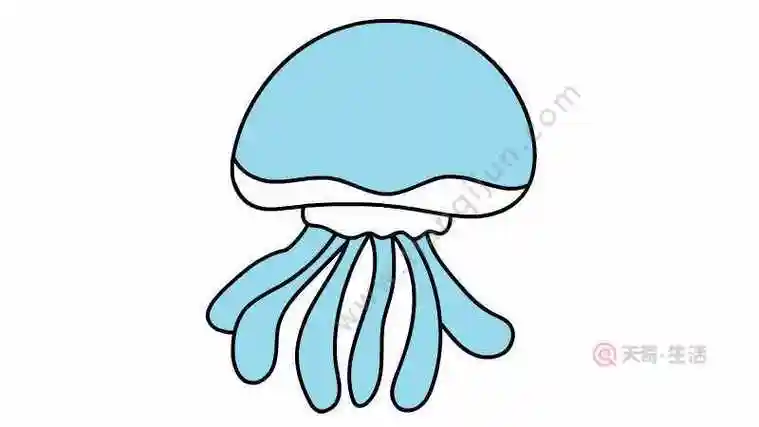 水母简笔画步骤 水母简笔画画法