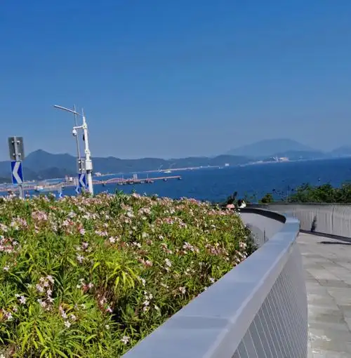 深圳大鹏新区玫瑰海岸73