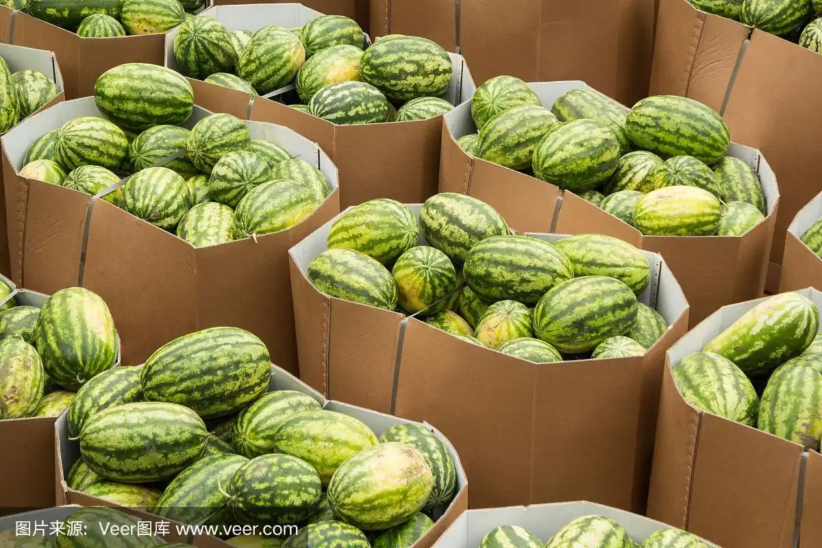 西瓜,熟的,纸箱,拥挤的,褐色